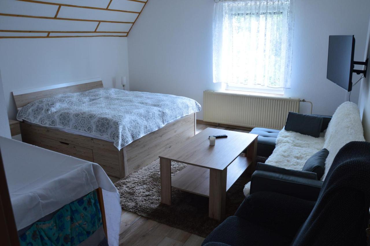 Horsky Apartman Pod Zelenou Strechou Bartosovice v Orlickych Horach Exteriör bild