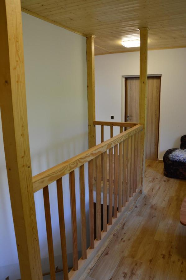 Horsky Apartman Pod Zelenou Strechou Bartosovice v Orlickych Horach Exteriör bild
