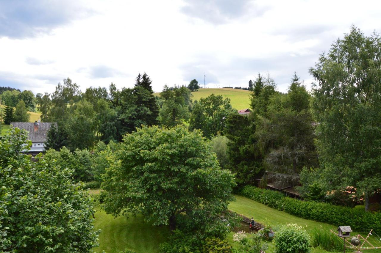Horsky Apartman Pod Zelenou Strechou Bartosovice v Orlickych Horach Exteriör bild