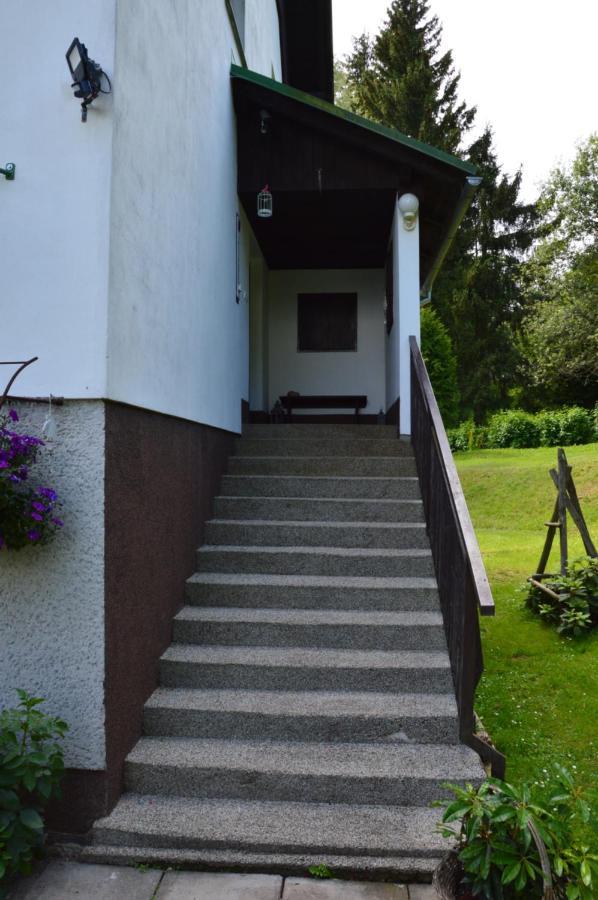 Horsky Apartman Pod Zelenou Strechou Bartosovice v Orlickych Horach Exteriör bild