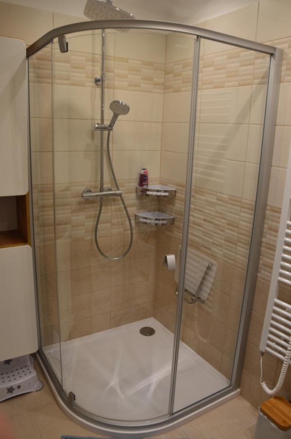 Horsky Apartman Pod Zelenou Strechou Bartosovice v Orlickych Horach Exteriör bild
